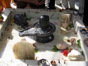 Vandalised idols lie on the floor of a temple in Pushpa Complex in Hisar on Monday.
