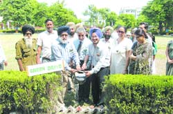 Chairman Gurbachan Singh and staff members of DIPS plant saplings on campus.