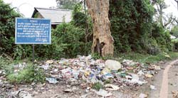 A heap of garbage lies rotting near the district jail in Dharamsala just near the board prohibiting the dumping of refuse there.