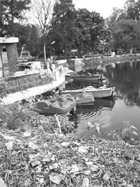 A view of City Park in Ambala City that is being used to dump garbage.