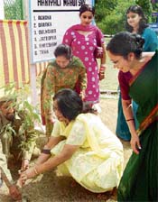 President of the Army Women Welfare Association (AWWA), 21 Sub Area, Poonam Gupta plants a sapling to mark the annual Haryali Mahotsava at Army School, Kandrori, near Indora, on Sunday.