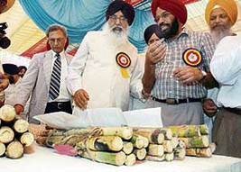 MP Sharanjit Singh Dhillon shares a point with Chief Minister Parkash Singh Badal while VC M.S. Kang listens at the inauguration of two-day kisan mela at PAU, Ludhiana on Thursday.