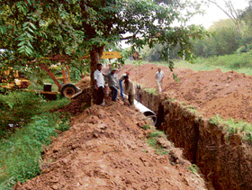 Digging work being undertaken parallel to the row of Arjun trees in Sector 30, Chandigarh, on Saturday