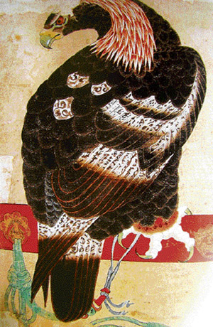 A Golden Eagle. Painting from one of the Istanbul albums
