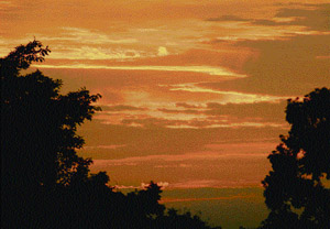 COLOUR COVER: An overcast evening sky in Chandigarh on Saturday.