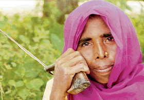 A woman rests a while during harvesting in a village near Kurukshetra.
