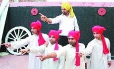 A special light and sound programme would be held at Narli, native village of Shaheed-e-Azam Bhagat Singh. 