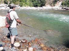Trout farming is no longer profitable. Needed: Better technology, quality water supply and an improved feed plant 