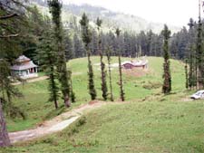 Lush green and breathtaking, Janjheli, with its legendary worship places, is waiting to be discovered