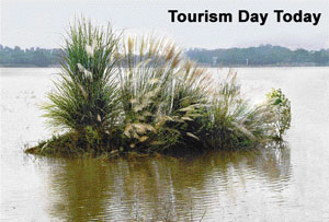 This island of ferns has come up at the Sukhna Lake owing to administration oversight.The least it could do on Tourism Day was to remove the eyesore.