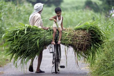 Photo by Ajay Verma, Reuters