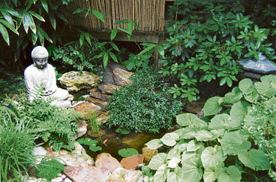 Plant nurseries are growing in city's residential areas like never before.