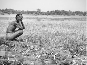A farmer in distress  PTI