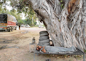 With a slight nip in the air, it is the perfect time for a siesta after the mornings hard work