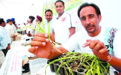 Sukhwinder Singh of Kapur village gives tips on cultivation of safed musli during the camp in Jalandhar