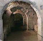 Draculas Underground: Horror retold
