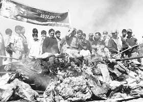 Officials of the Jammu and Kashmir Wildlife Department and Srinagar Municipal Corporation destroy fur garments in the Eidgah area of Srinagar