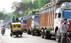 Trucks loaded with paddy parked on a road outside a Hafed godown in Navel village in Karnal on Monday.