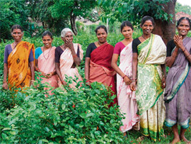 Rajyalakshmi (second from right), leader of the self-help group, with her team of hardworking women who have transformed a barren commercial plot into a green belt