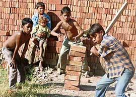 Youngsters in twenty20 mode at Sarangpur village in Chandigarh on Monday.
