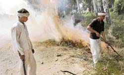 Owing to the uncontrolled burning of vegetation along the GT Road, driving has become a risky affair with smoke engulfing parts of the NH, the busiest in the region