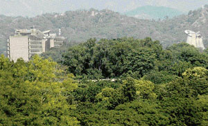 In City Beautiful, 7.7 per cent area is under green cover, which is one-third of the national average (23 per cent).