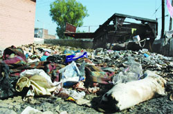 Biomedical waste lying near the second gate of the civil hospita