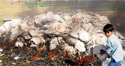 A heap of disposable plates from a wedding on fire in Sector 40-B, Chandigarh.