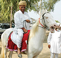 Rajya Sabha member Dr Narain Singh at the ghorean di mandi (horse fair) in Muktsar.
