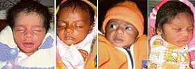 Abandoned babies wait for being adopted at Talwandi Khurd.