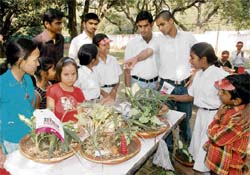 Children display their creations during the Diwali function held at Government Nursery School, Sector 7, in Chandigarh on Sunday.