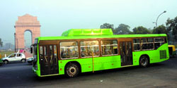 Low-floor CNG buses were flagged off by Chief Minister Sheila Dikshit in the Capital on Tuesday.