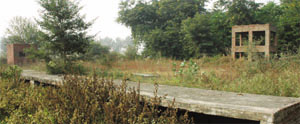 Weeds have grown at the shooting range located in Bathindas Bir Talab area.