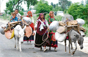 A family of nomads in search of greener pastures at Kundli in Sonepat district.
