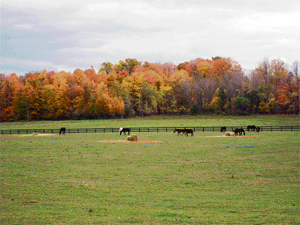 This heavenly landscape is on the outskirts of Toronto.