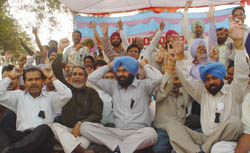 Workers of NFL, Bathinda, staging dharna on Tuesday.