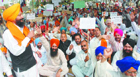 Lok Bhalai Party activists stage dharna in front of the DC office in Jalandhar on Wednesday.