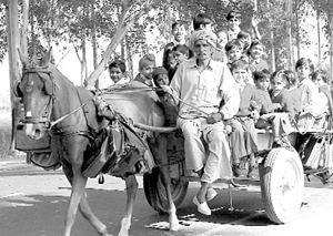 Students on their way to school on a horse cart in Ambala on Saturday.
