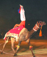 A BSF jawan shows his skills on a camel during the BSF Tattoo in the Capital on Saturday.