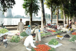 Vegetable sellers line up at the lake in Bathinda