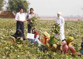 Dr Dalip Gosain, head, KVK, NDRI, Kamal, with farmers Jaspal Singh (centre) and Gurdayal Singh (right) in Nagla Rodan village of Indri block