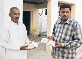 Japan Singh (left) shows mushrooms grown by him