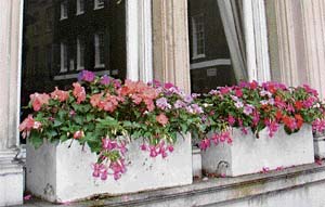Window boxes lend colour to a house