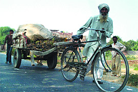  Bachchan Singh using bicycle in place of livestock to tow a trailer in Muktsar. 