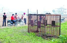 The trap set up at Pholriwal village.
