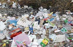 A stinking heap of garbage at Ghuggar, near Palampur.