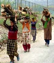With no electricity and an increase in the cold wave conditions in the Kashmir valley, women carry firewood to their home on outskirts of Srinagar on Wednesday.