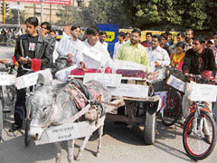 Members of a social organisation stage a protest against the illegal use of red lights atop official and private vehicles by fixing red beacons and sirens on a donkey cart in Hisar on Thursday.