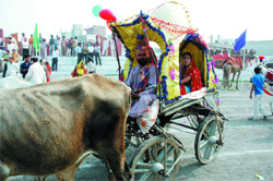 Activities like cultural fest in the stadium create a lot of problems for the sportspersons