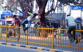On day 2 of the drive to enforce traffic rules, pedestrians have their way at K.G. Marg in the Capital on Thursday.